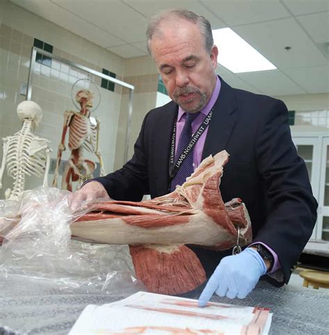 Cadaver Dissection Human Body