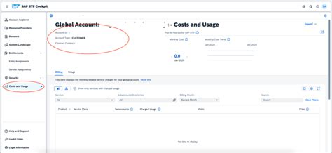 Costs and Usage in SAP BTP Cockpit