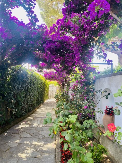 Authentic Cooking Class In A Private Capri Home Garden Cesarine