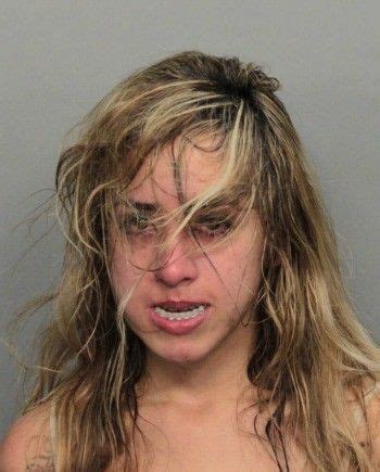 Miami Dade County Mugshot Search