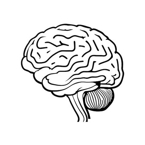 Cerebro humano esbozado ilustración vectorial Vector Premium