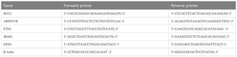 Frontiers | Corrigendum: High expression level of the FTH1 gene is ... 