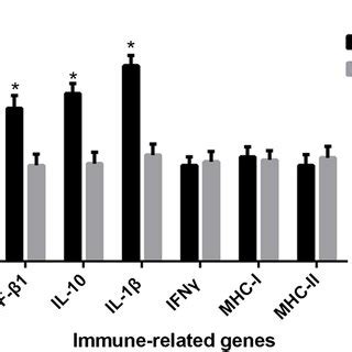 Expression Levels Of Inflammatory And Anti Inflammatory Cytokine Genes