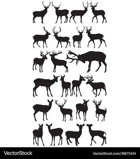 Deer Royalty Free Vector Image Vectorstock