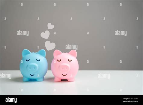 Piggy banks in love. Starting a life together and a shared budget for ...