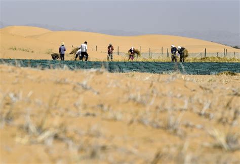 Desertification Control Team Works Along First Desert Highway In