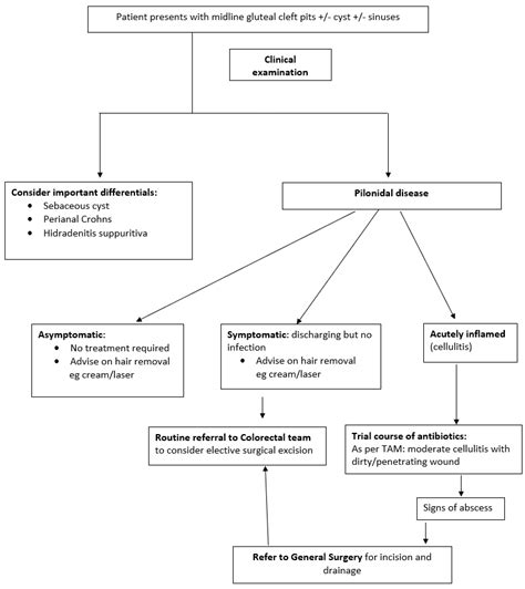 Laser Hair Removal Pilonidal Sinus Nhs Infoupdate Org