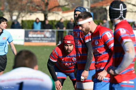 Challenge Occitanie les tableaux des phases finales dévoilés Rugby