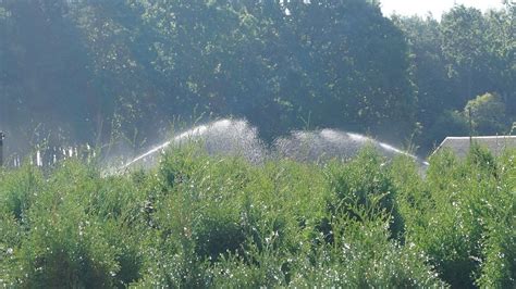 ZVG Veröffentlicht Wasserstrategie für den Gartenbau Gabot de