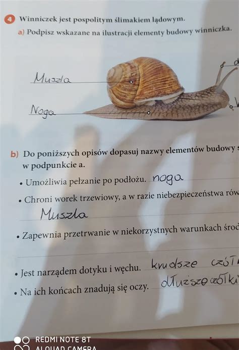 Do Poniższych Opisów Dopasuj Nazwy Elementów Budowy Ślimaka