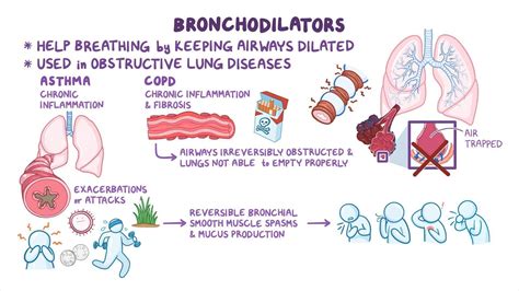 Bronchodilators: Nursing pharmacology: Video, Causes, & Meaning | Osmosis