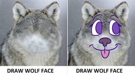 Draw Wolf Face temporalwalker | Draw Wolf Face | Know Your Meme