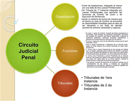 Circuito Judicial Penal Ppt Descarga Gratuita