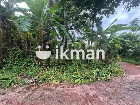 Land For Sale Gonahena Road Kadawatha Ikman