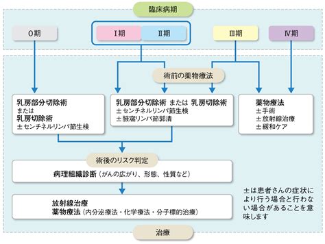 乳がん Part1 乳がん治療はサブタイプによって治療戦略を組み立てる ファーマスタイル