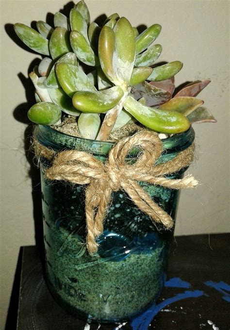 Mason Jar Terrarium Diy Succulents Wide Mouth Ball Mason Blue Glass