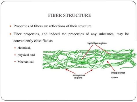 Fiber Structure Theories