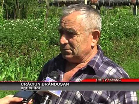 Ploile Mana Cereasca Pentru Agricultori YouTube