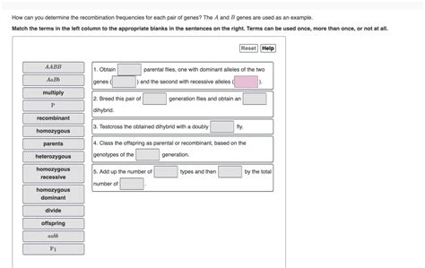 Solved How Can You Determine The Recombination Frequencies Chegg