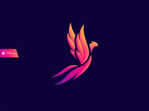 Color Bird Logo Design by Jenggot Merah on Dribbble