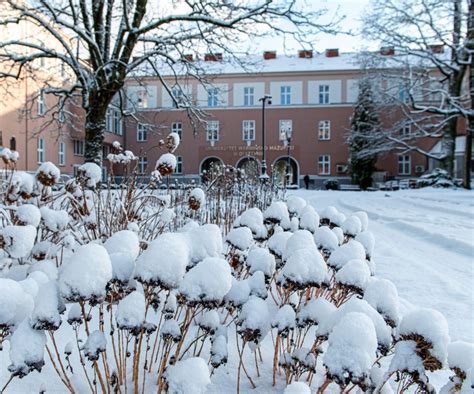 Ranking UI GreenMetric 2023 UWM w światowym zestawieniu Na którym