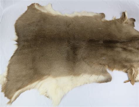 hair  deer hide centralia fur hide