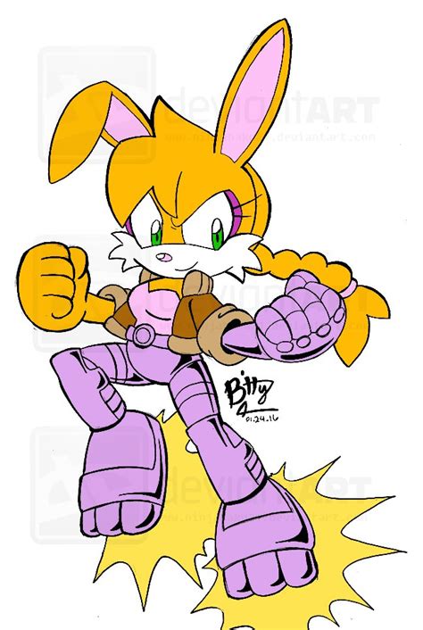 Sonic Boom Bunnie