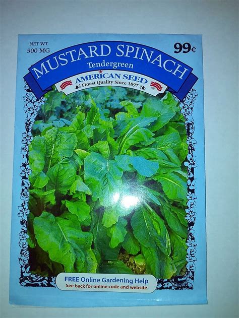 Mustard Spinach Seeds Tendergreen 500mg By American Seed Spinach