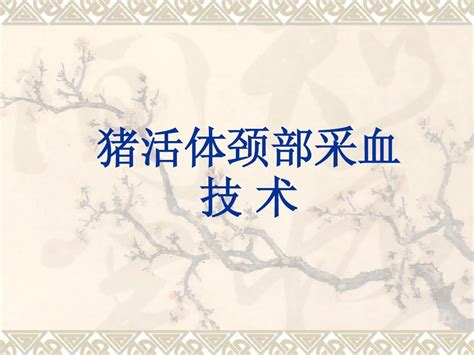 猪颈部采血技术简介word文档在线阅读与下载无忧文档