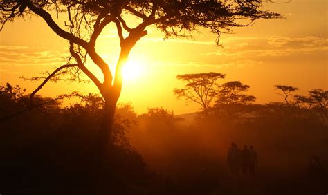 Reasons Why Uganda Is Called The Pearl Of Africa Guide Uganda