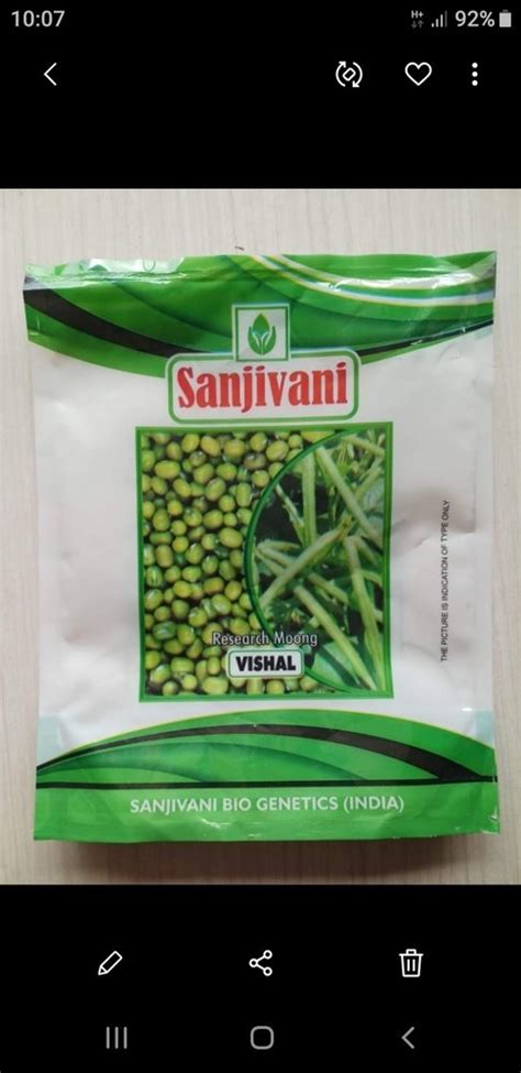 Vishal Moong Seeds For Agriculture Packaging Size 5 Kg At Rs 160 Kg