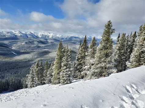 limestone mountain alberta canada tacoma world