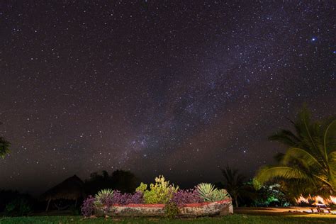 Star Garden By Anthony Britten 500px