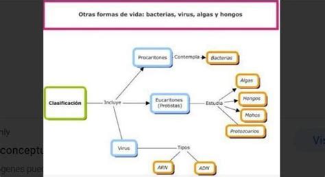 Completa El Siguiente Organizador Gráfico Sobre Los Microorganismos Patógenos Brainlylat