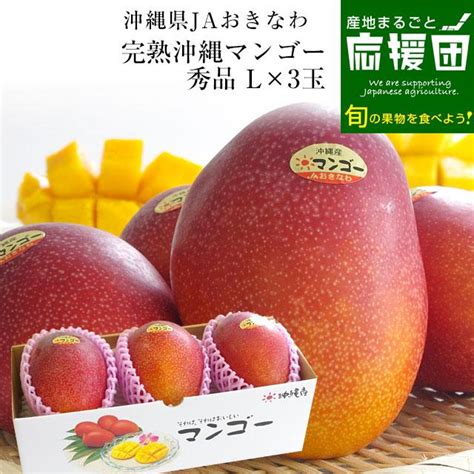 【極上】沖縄県産 完熟マンゴー2kg 秀品【化粧箱入り】 Blogknakjp