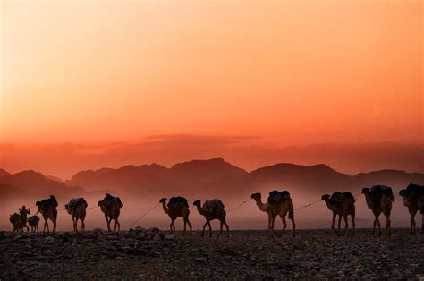 3 The Ancient System Of Globalisation The Silk Road Trade From East