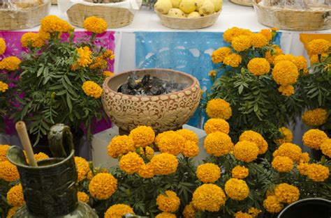 8 Elementos Ya Presentes En El Altar De Muertos Prehispánico