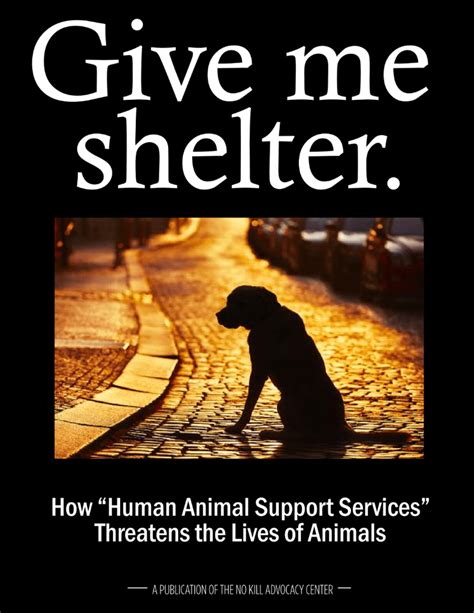 Give Me Shelter — The No Kill Advocacy Center