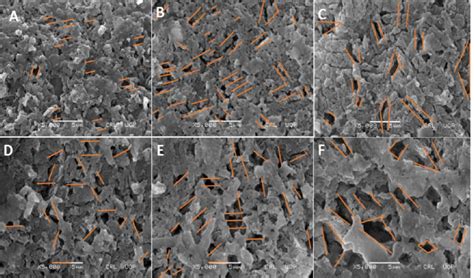 Surface Sem Micrograph Of Geopolymeric Membrane Showing Different Pore