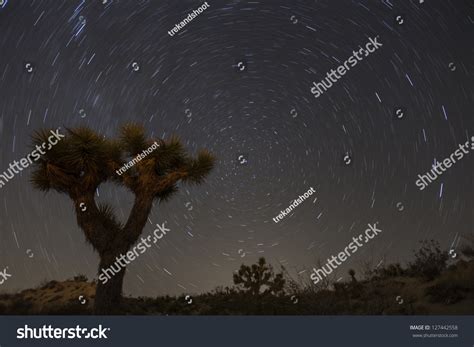 Joshua Tree Star Trails Californias Mojave Stock Photo 127442558 ...