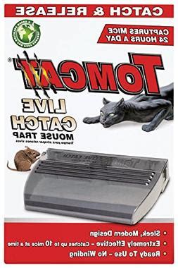 tomcat  catch mouse trap