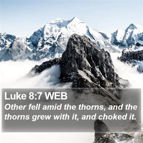 Luke 8 7 WEB Other Fell Amid The Thorns And The Thorns Grew