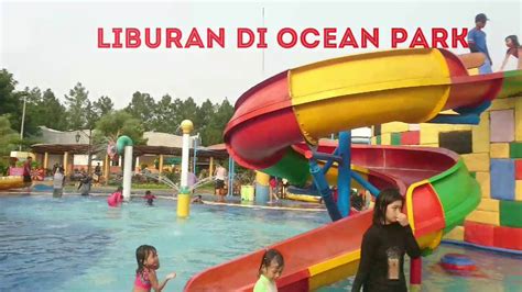 Ide Liburan Seru Banget Berenang Berasama Keluarga Di Ocean Park Serpong Bsd Youtube