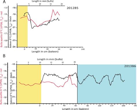 d 13 C values of bone apatite (red line) and baleen keratin (black... | Download Scientific Diagram