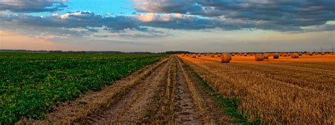 El Cambio Climático Y Sus Efectos En La Agricultura • Panorama Agrario