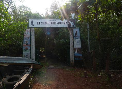 salim ali bird sanctuary wikipedia