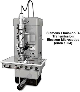 Molecular Expressions Microscopy Primer Museum Of Microscopy Siemens