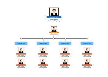 organization chart infographics  people icon vector image