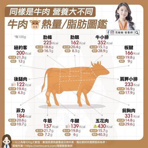 牛肉饕客必收！營養師大推牛肉營養圖鑑 「這部位最肥」一手心大熱量高達430大卡