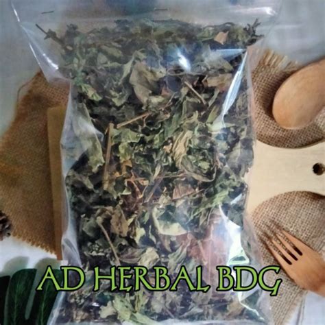 Jual Daun Kumis Kucing Kering Isi Gram Shopee Indonesia